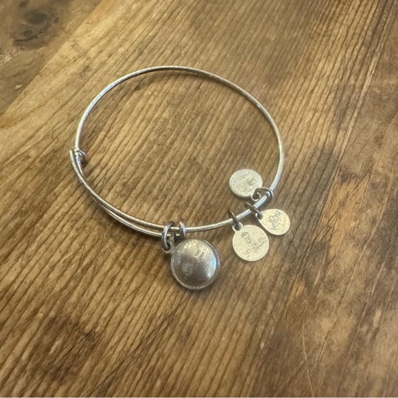 Alex and Ani Silver Charm Bangle with Crystal - Picture 3 of 3